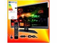 Reflexion 12/24-V-LED-TV LEDW160, 40 cm (15,6 "), DVB-S/S2/C/T/T2, Full-HD,...