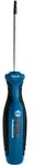 Bosch Professional Schraubendreher TX15X75 (1600A01V0B)