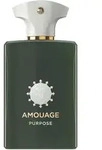 Amouage Purpose 100ml Eau de Parfum