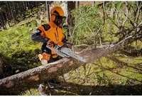 STIHL 11432000359, STIHL Benzin-Motors&auml;ge MS 231 C-BE, 2,7 PS, Schienenl&auml;nge...