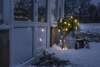 Konstsmide LED Biergartenkette, 4,75 - 9,75m L&auml;nge, 20-40 klare LEDs, 24V