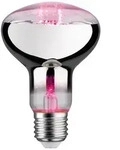 Paulmann LED Grow Green Pflanzenlampe Ø 80 mm, 6,5 W, 200 lm, E27, 1300 K Paulmann LED Grow Green Pflanzenlampe Ø 80 mm, 6,5 W, 200 lm, E27, 1300 K