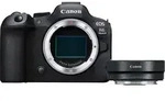 Canon EOS R6 Mark II + EF-EOS R Adapter