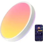Govee Ceiling Light Pro 15 Zoll