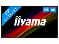 iiyama Prolite LH6554UHS-B1AG