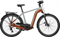 BERGAMONT 290977, BERGAMONT Herren E-Bike E-Horizon Edition LTD Gent silber | 48