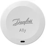 Ally Raumsensor