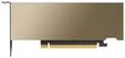 PNY TCSL4PCIE-PB, PNY NVIDIA L4 - 24GB GDDR6 RAM - Grafikkarte