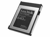 PRO-CINEMA - Flash memory - 1700MB/s - 640GB