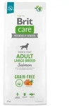 Adult Large Breed Salmon - dry dog food - 12 kg