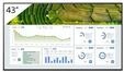Sony FW-43BZ30L, Sony FW-43BZ30L - 3840x2160 (4K) - 60Hz - IPS