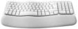 Logitech 920-012404, Logitech Ergo Series Wave Keys for Mac - Tastatur - Deutsch -