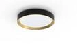 Philips Hanno ceiling SS RD 24W 27K B_G