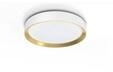 Philips Hanno ceiling SS RD 24W 27K W_G