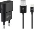Pro Apple Lightning charger set 1 A