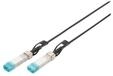 Professional 10GBase dir - Schwarz - 10m