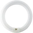 Osram 1000112163, Osram Fluoreszierende Gl&uuml;hbirne LUMILUX T9 C 40W 4000K G10q