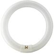 Philips Fluoreszierende Gl&uuml;hbirne Master TL-E Circular 32W/840 G10q