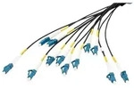 breakout cable - 100 m - black - Schwarz - 100m