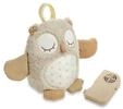 Nighty Night Owl
