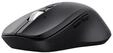 Trust 25673, Trust 25673 - Maus (Schwarz)