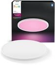 Philips 929004297501, Philips Hue Devote ceiling lamp