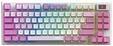 MSI S11-43USQ01-HH9, MSI FORGE GK600 - Gaming Tastaturen - Englisch (US) - Weiss