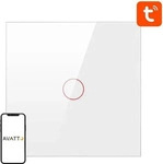 Avatto ZTS02-EU-W1, Avatto Smart Light Switch ZigBee ZTS02-EU-W1 1 Way TUYA...