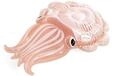 Intex Cuttlefish-Schwimmreifen, 191x117 cm