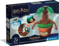 Clementoni 19458, Clementoni Harry Potter - Mandragola - Terrarium Kit