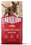 Active Dog Adult Lamb&Wild Boar - dry dog food - 12kg