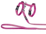 Katzengeschirr + Leine, Pink