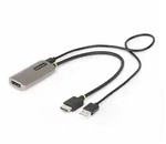HDMI to DisplayPort Adapter 8K 60Hz Active Video Converter - adapter cable - 30...