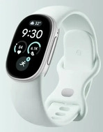 Google GA11584-EU, Google Fitbit Edge Satin Silver Aluminium case / Fog Active Band