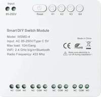 Avatto WSMD-4-250V, Avatto WSMD?4 250V Smart Switch Module