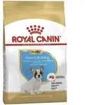 French Bulldog Puppy 3kg French Bulldog Puppy 3kg