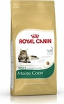 Royal Canin FBN Maine Coon Adult dry cat food - 10kg