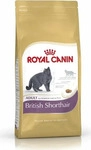 Royal Canin British Shorthair - dry cat food - 2 kg