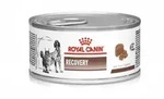 Vet Recovery Canine/Feline 195g