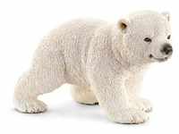 Polar bear cub walking