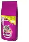 Dry cat food Junior - Chicken - 14kg
