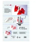 - laminated tape - 25 pcs. - A3