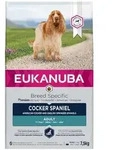 Cocker Spaniel 7.5 kg