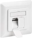 Pro CAT 6 wall plate flush mounting