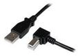 StarTech.com USB 2.0 A zu Right Angle B Kabel