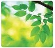 Fellowes 5903801, Fellowes Recycled Mouse Pad Leaves