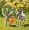 Dog Toy Jumbler Ball Medium/Large 14cm
