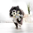 Hundespielzeug Wild Knots Bear Verschiedene Farben XS 10cm