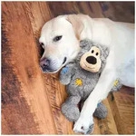 Hundespielzeug Wild Knots Bear XLarge 30cm