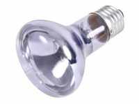 Neodymium Basking Spot-Lamp 50W R63 E27